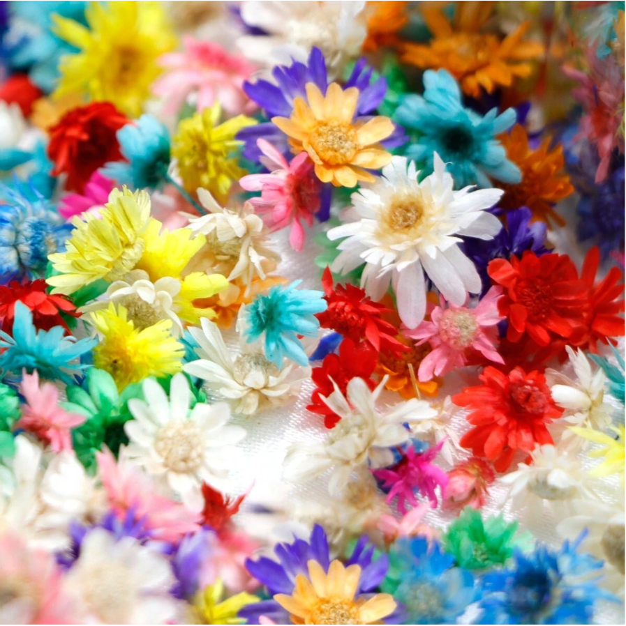 Resin Art All - 150pcs Star Flower Craft Kit -
