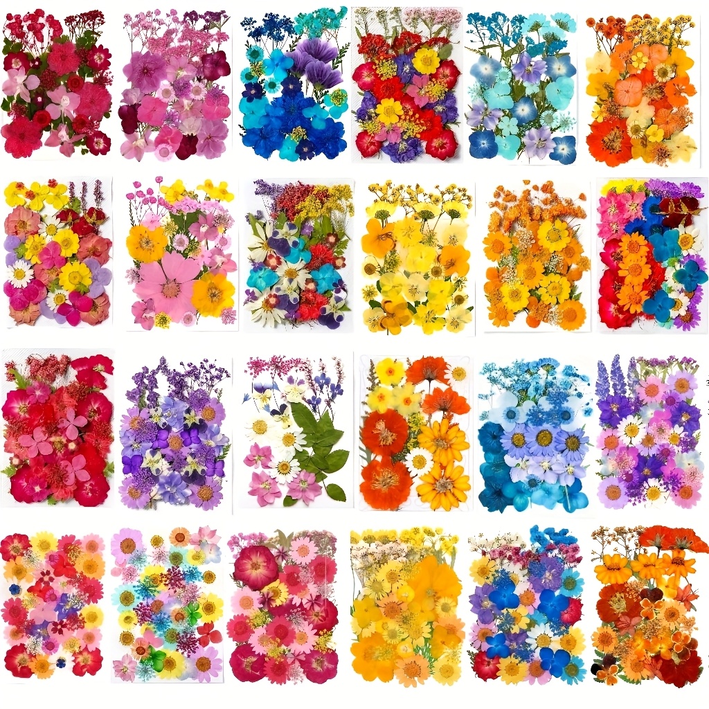 Resin Art Frame - 500pcs of Random Materials for Pressed