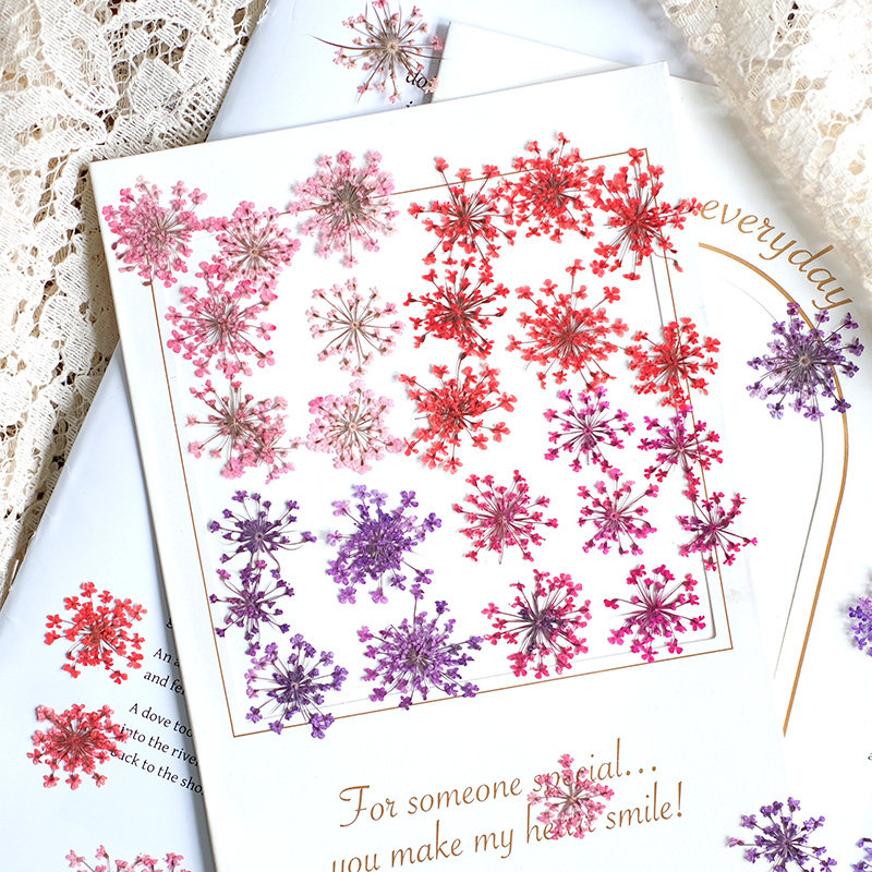 Resin Art Frame - 24pcs,2-2.5cm,nature Dyed Mini Lace Pressed Flower