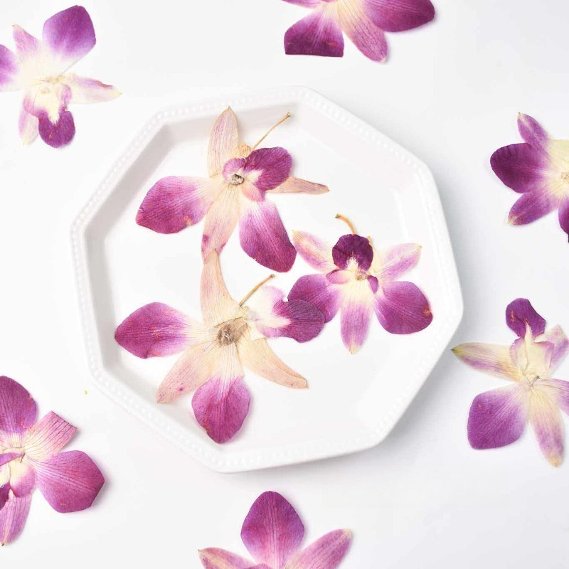 4pcs,Real Pressed Butterfly Or - Resin Art Frame avaliação e preço