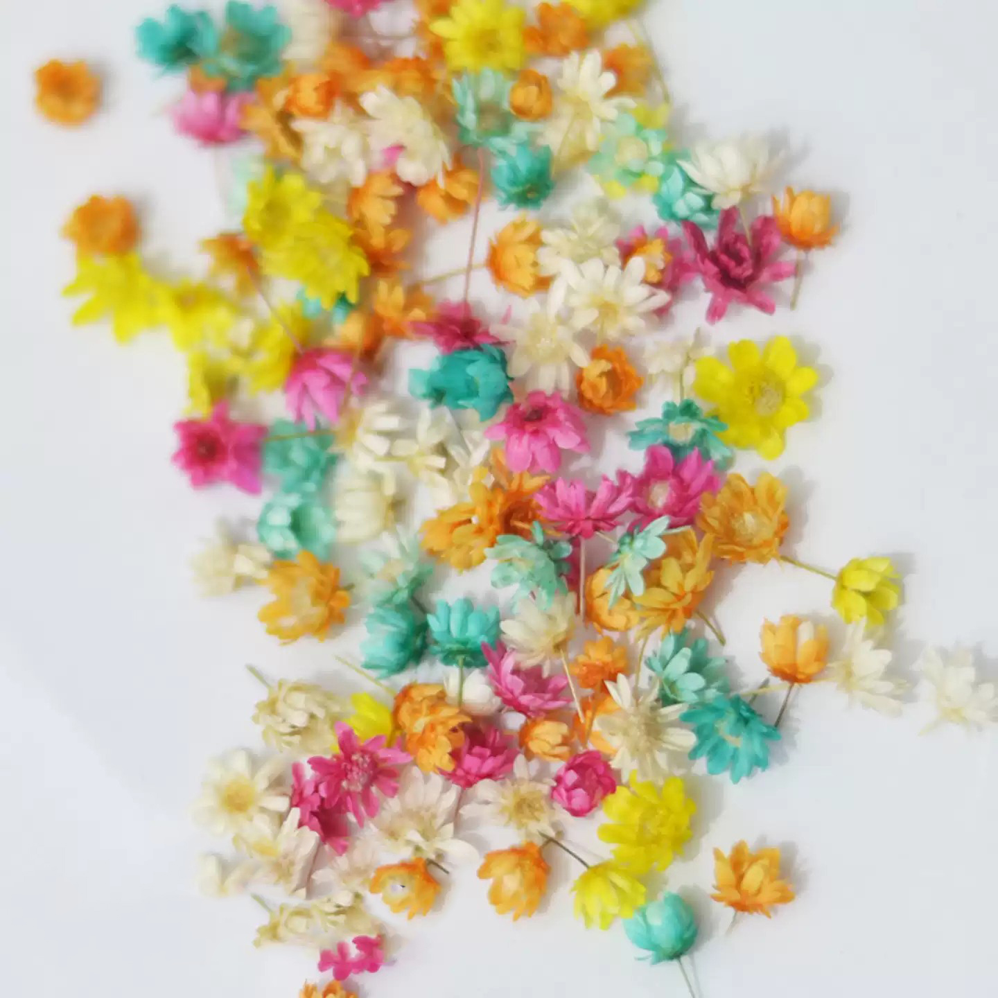 150pcs Star Flower Craft Kit - - Resin Art All avaliação e preço