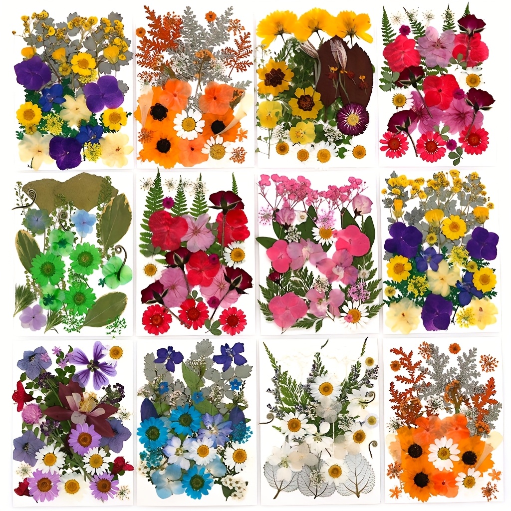 500pcs of Random Materials for - Resin Art Frame avaliação e preço