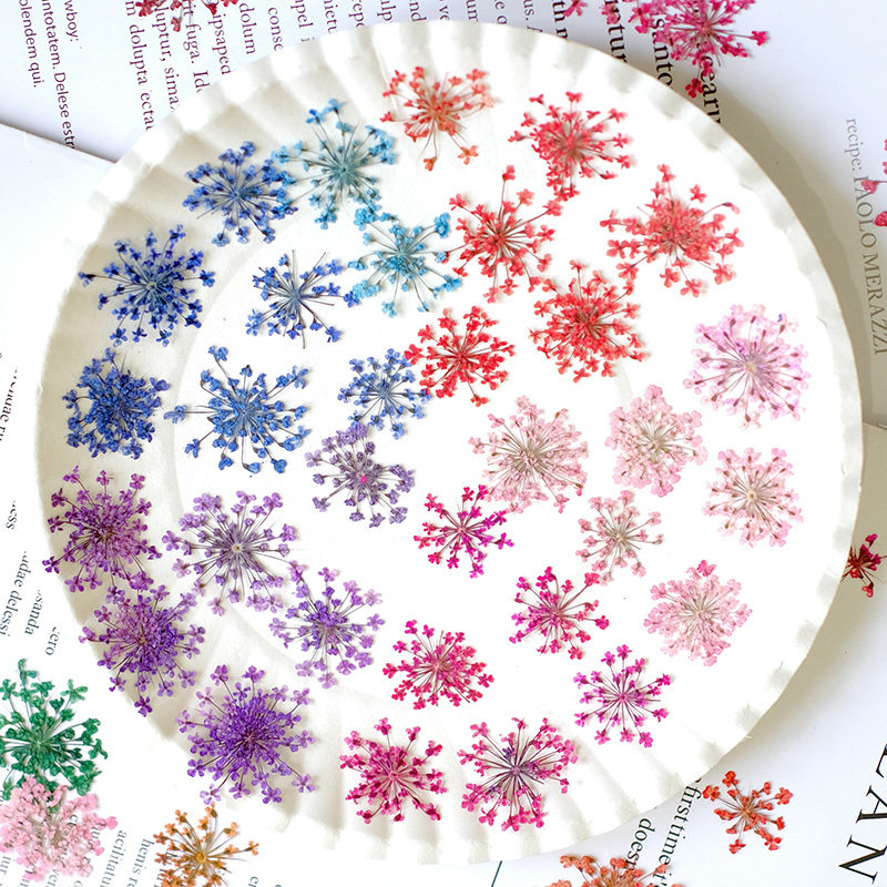 24pcs,2-2.5cm,nature Dyed Mini - Resin Art Frame avaliação e preço