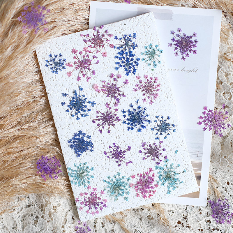 24pcs,2-2.5cm,nature Dyed Mini - Resin Art Frame avaliação e preço