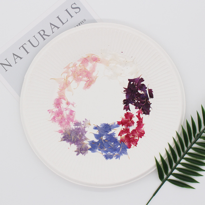 20 Plant Specimens, Cornflower - Resin Art Sticker avaliação e preço