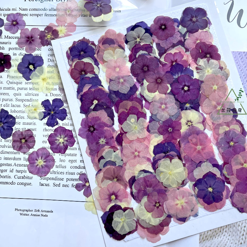 12pcs,Semi-Transparent Niche P - Resin Art Liquid avaliação e preço