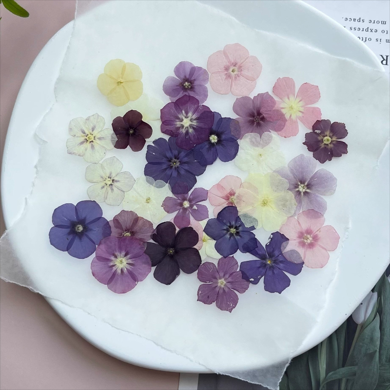12pcs,Semi-Transparent Niche P - Resin Art Liquid avaliação e preço