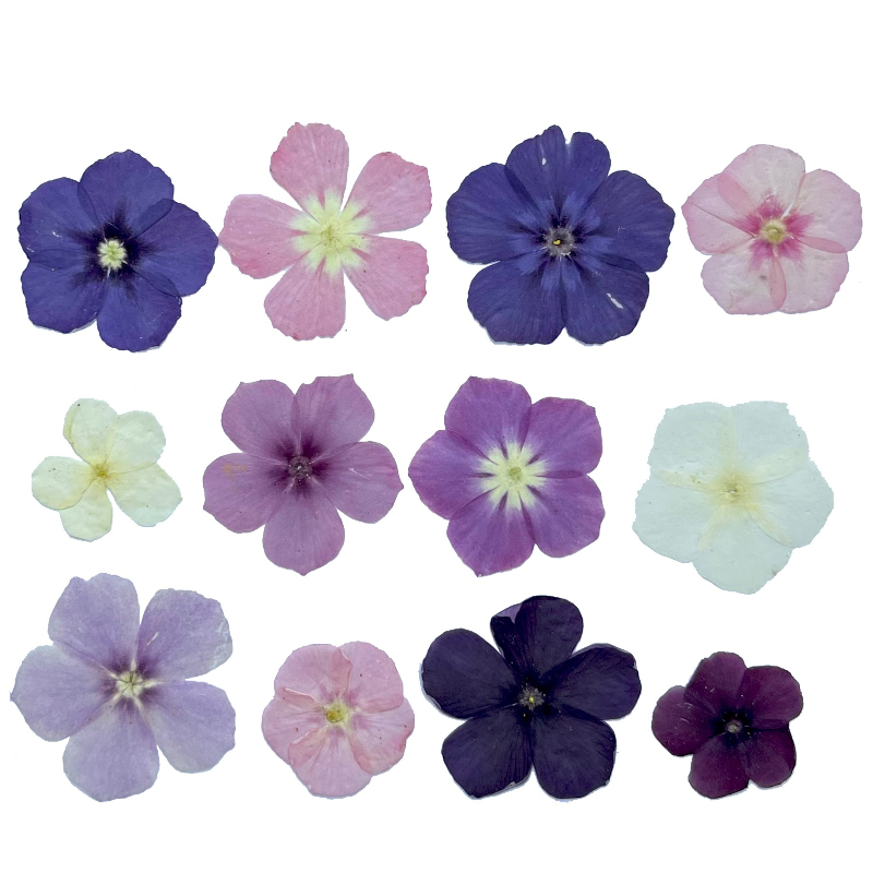 12pcs,Semi-Transparent Niche P - Resin Art Liquid avaliação e preço